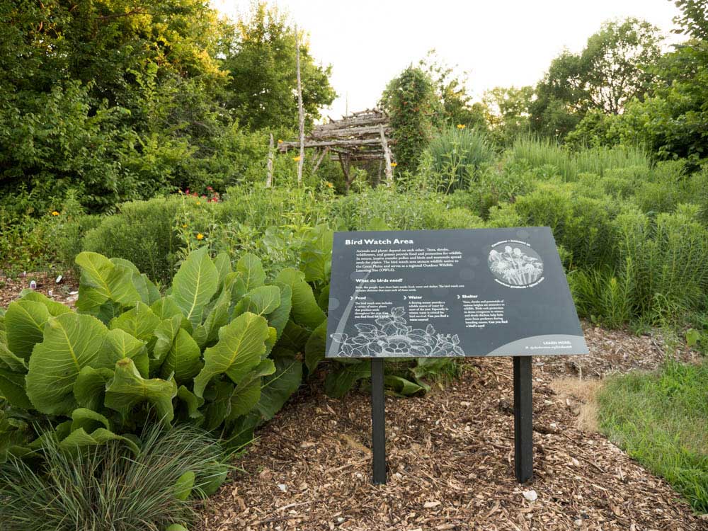 Interpretation for various native prairie plants at Dyck Arboretum in Hesston, KS.